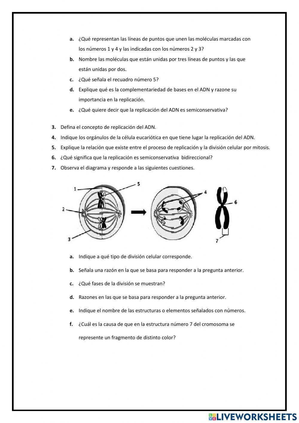 Reproducción celular