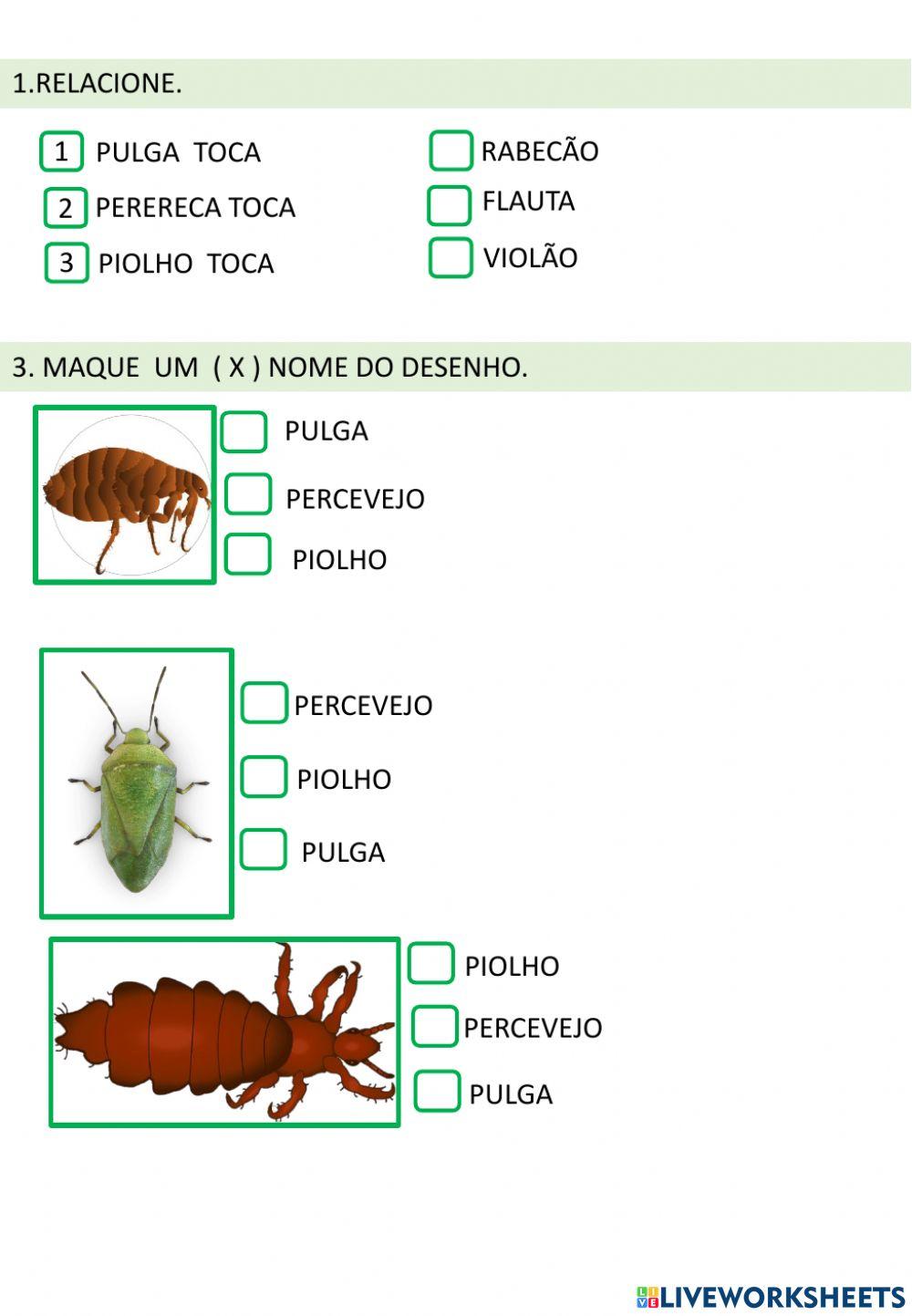 Leitura e compreensão de texto