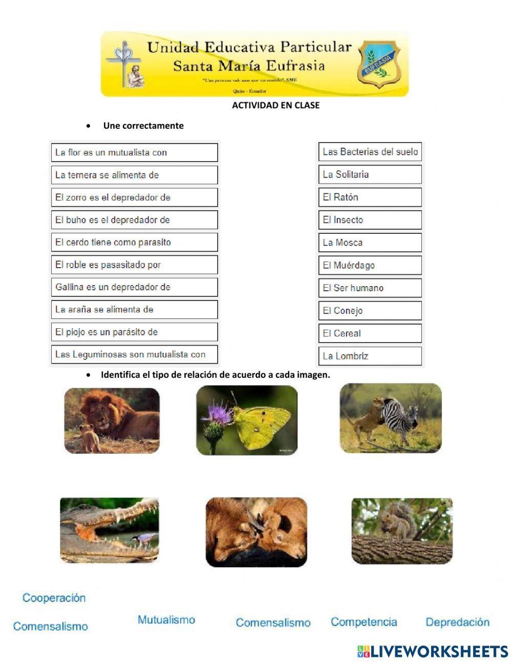 Relación de los seres vivos
