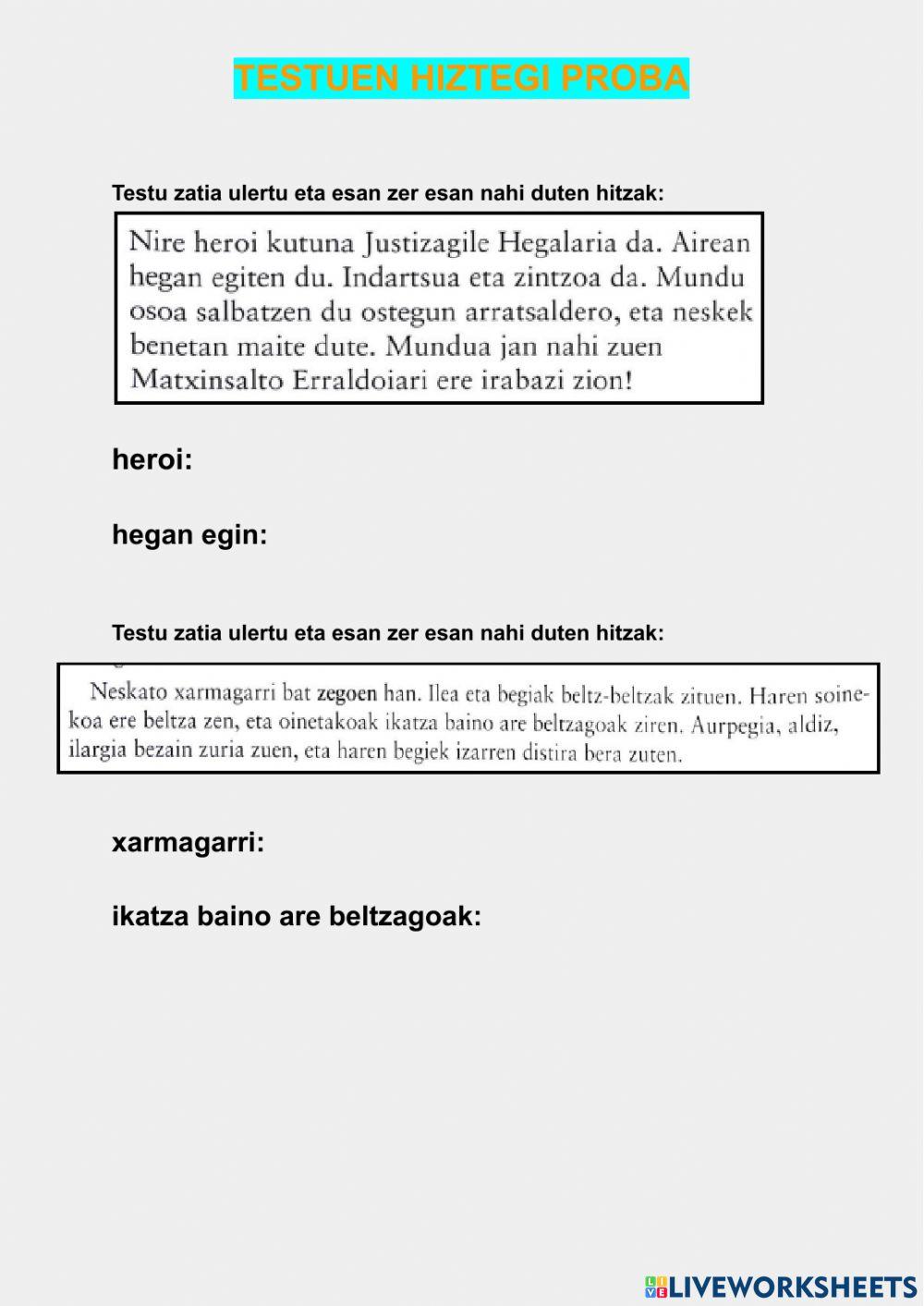 Testuen hiztegi proba