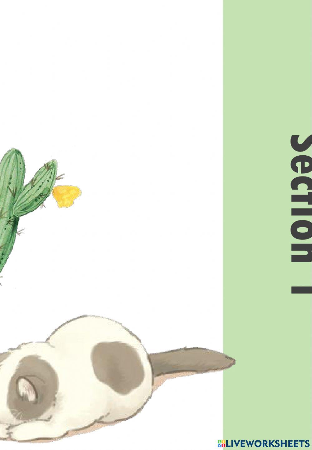 Dò bài lớp 4 6-11