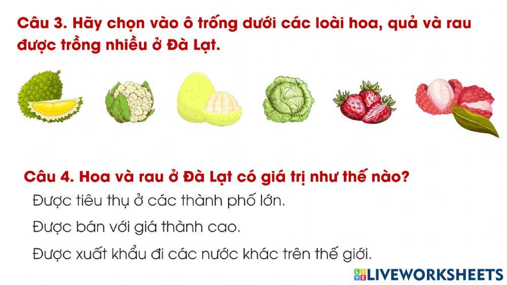 Địa lí tuần 10-Thành phố Đà Lạt