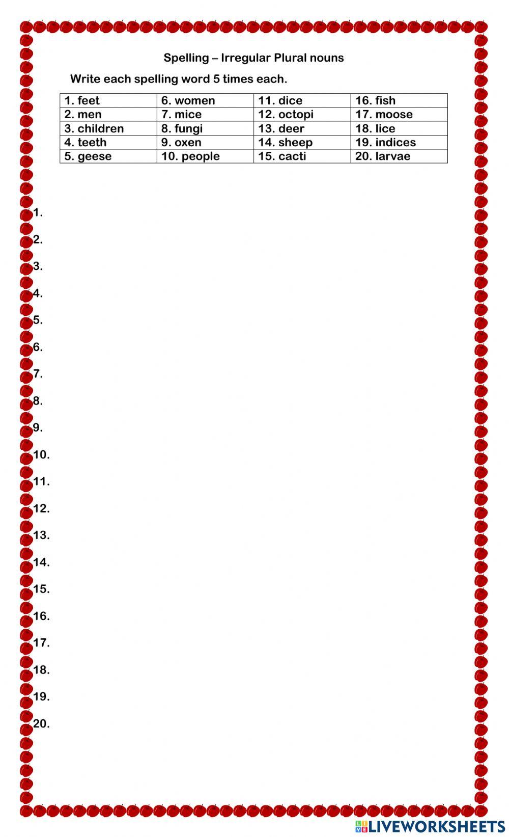 Irregular Plural Nouns