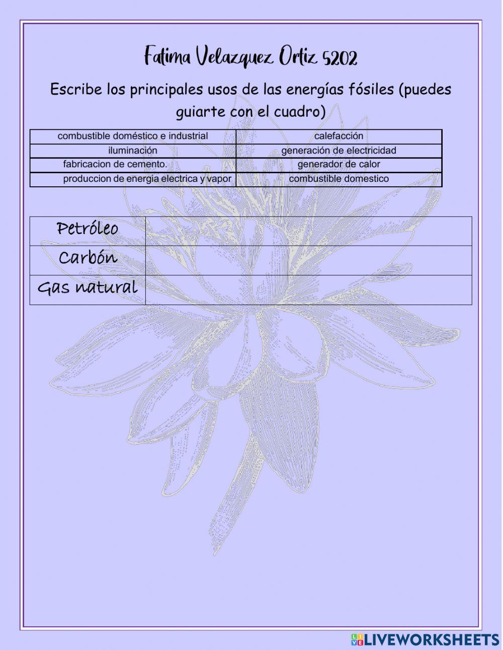 Energias renovables y no renovables