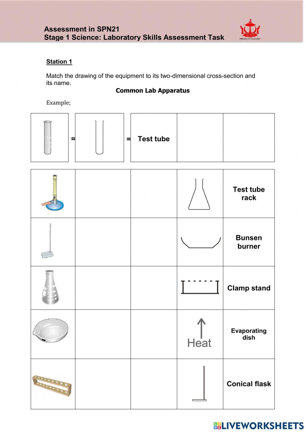 SBA science skills assessment stage 1 online exercise for | Live Worksheets