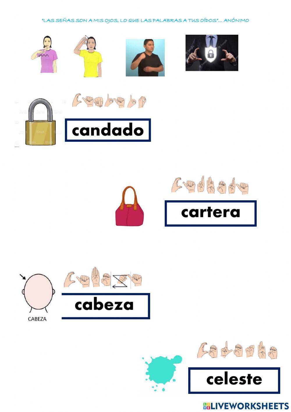 Vocabulario letra C