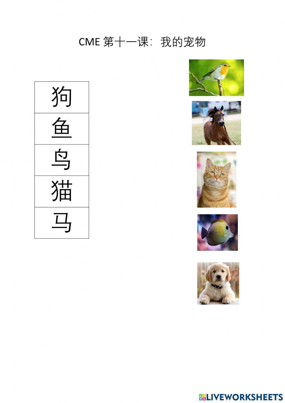 Cme 第十一课(宠物）