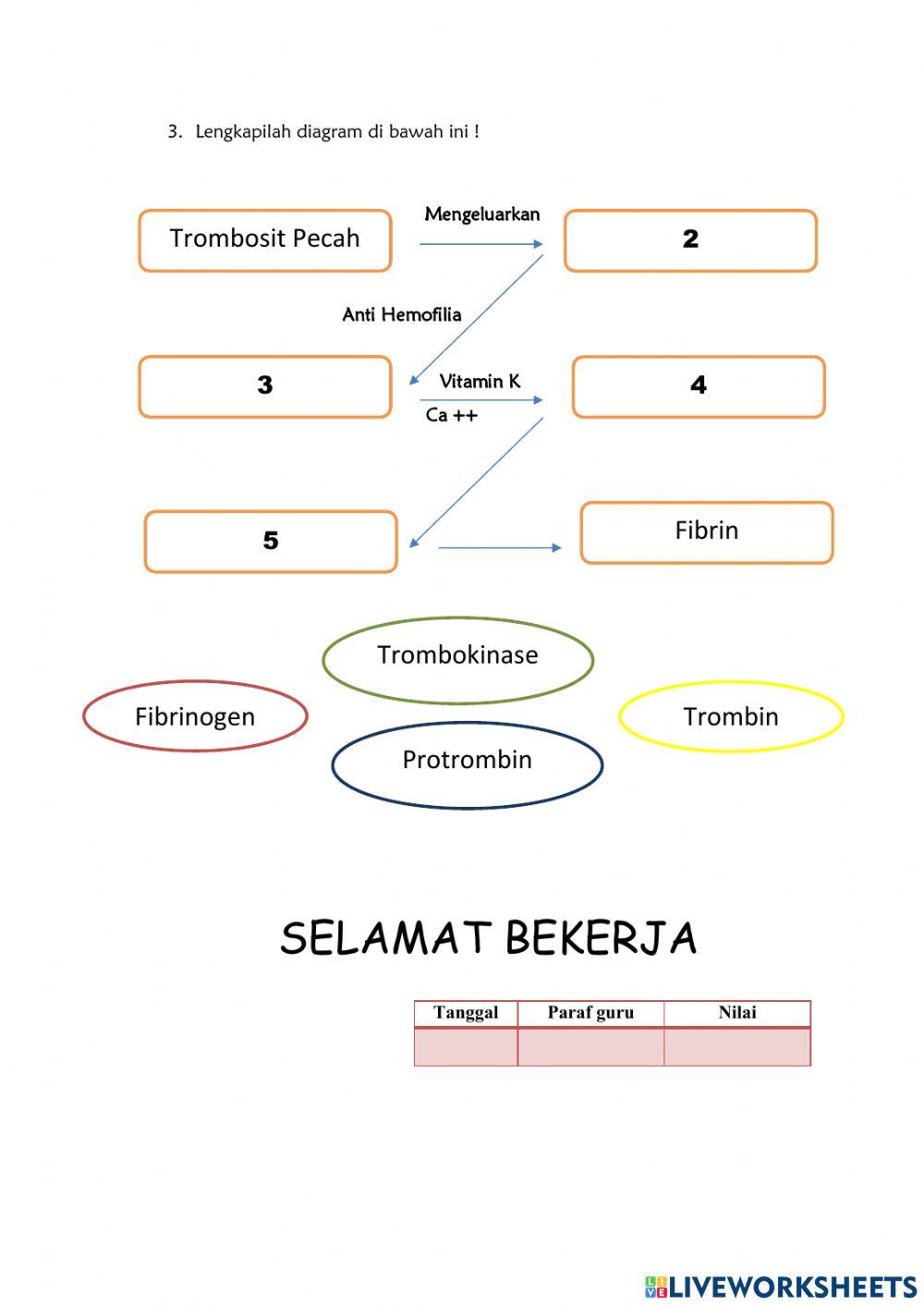 Tugas PKB MGMP IPA Kab. Tanah Datar