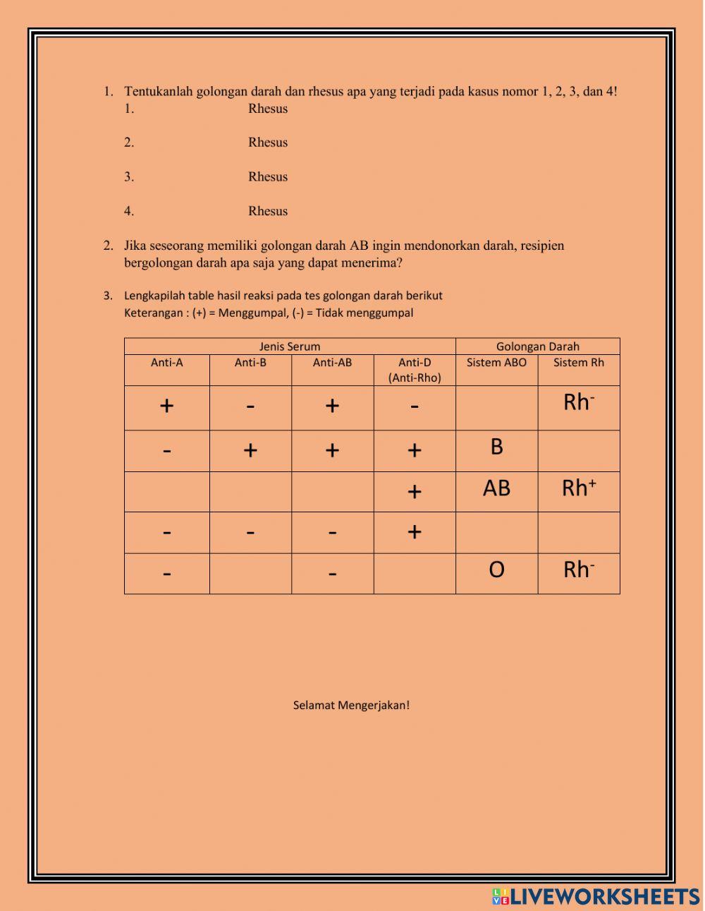 Sistem sirkulasi pada manusia