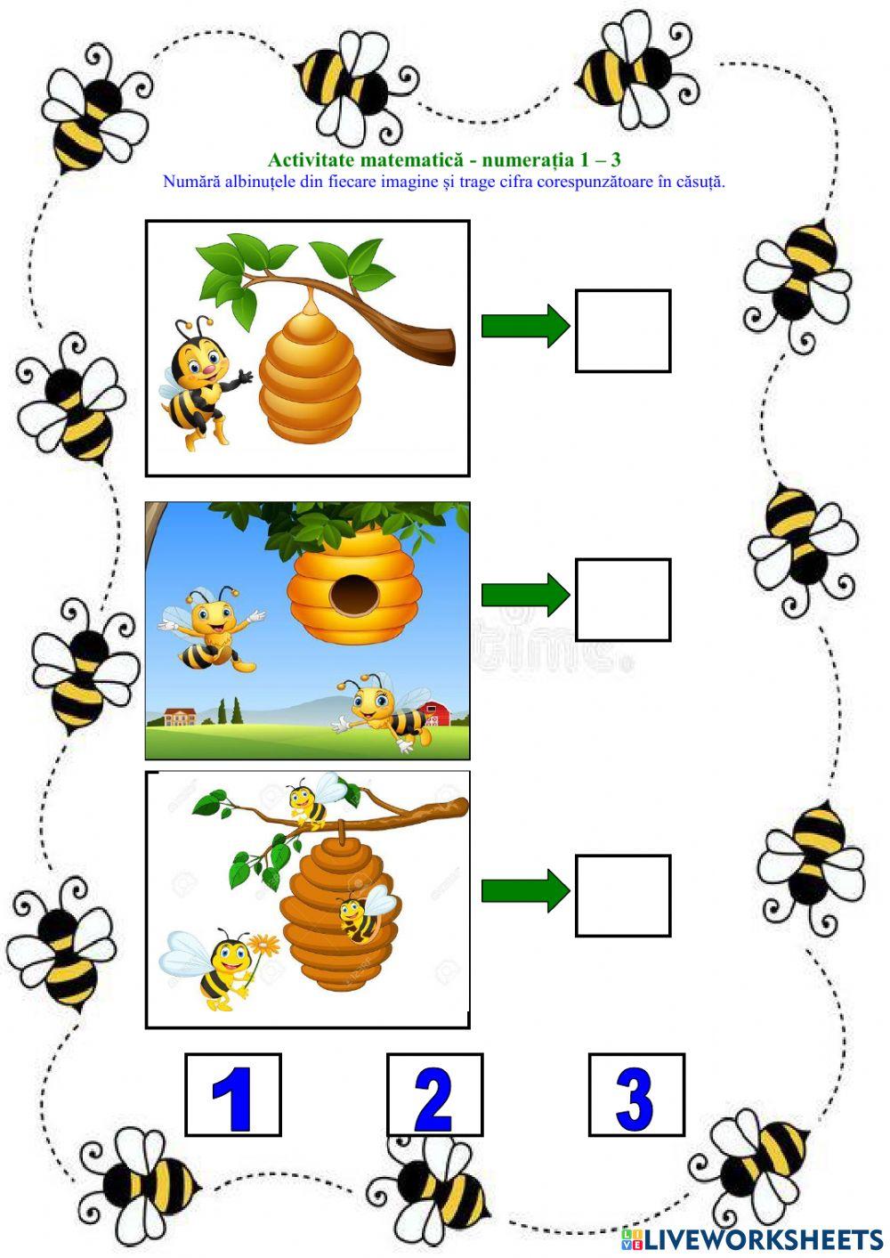 Activitate matematica - grupa mica