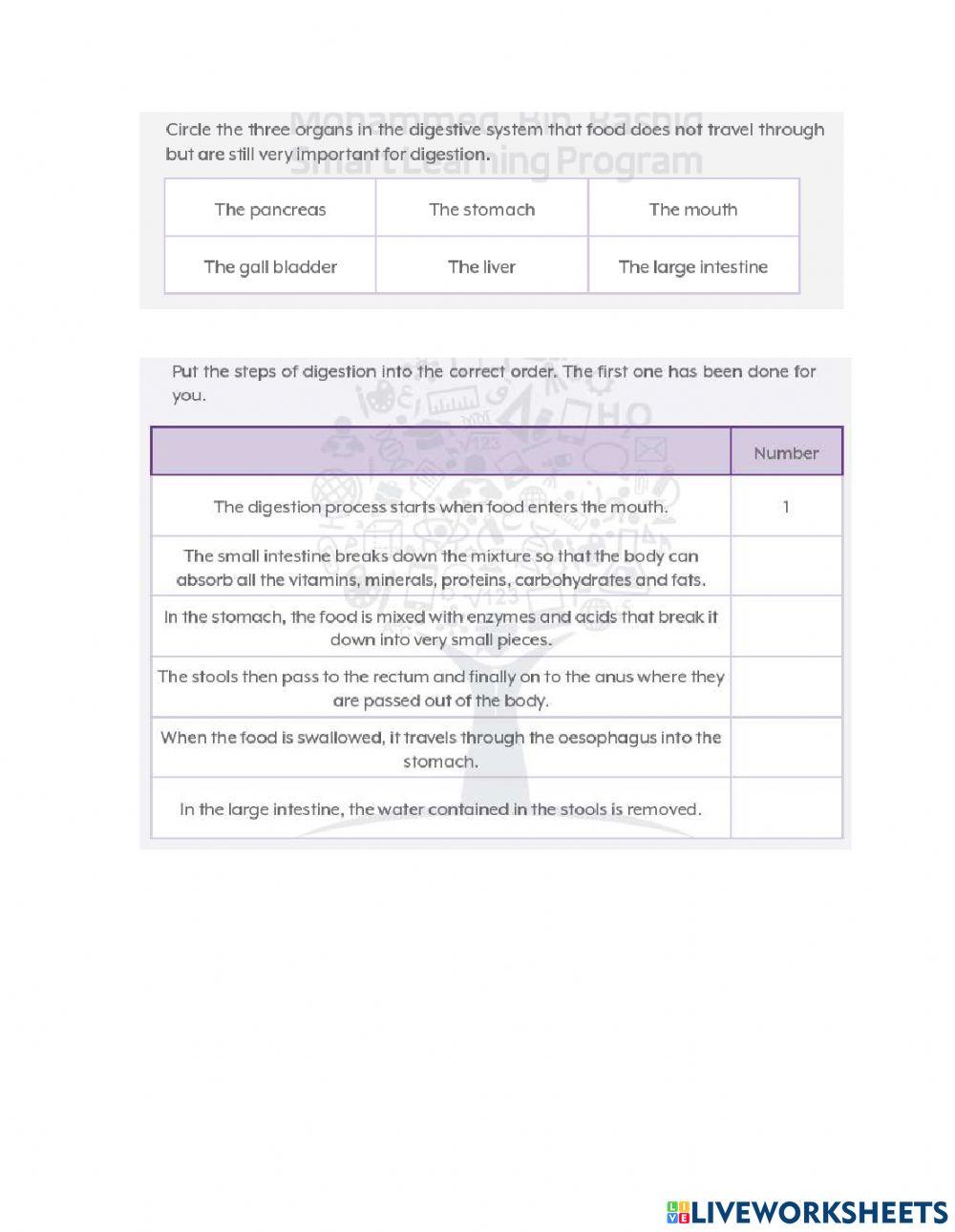 The digestive System