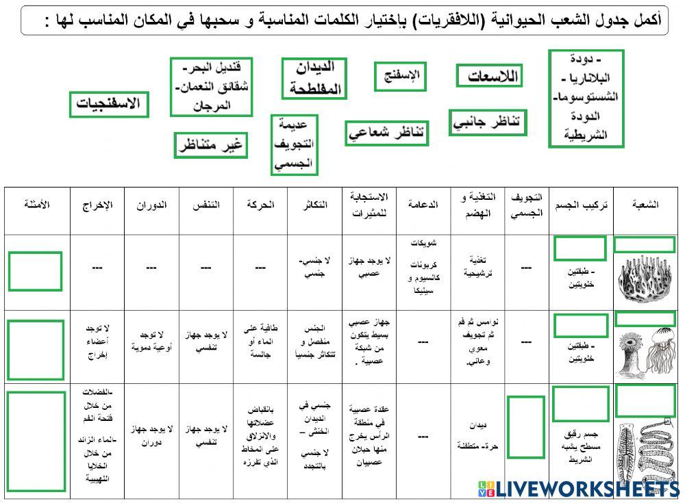 تقرير أحياء1-الشعب الحيوانية
