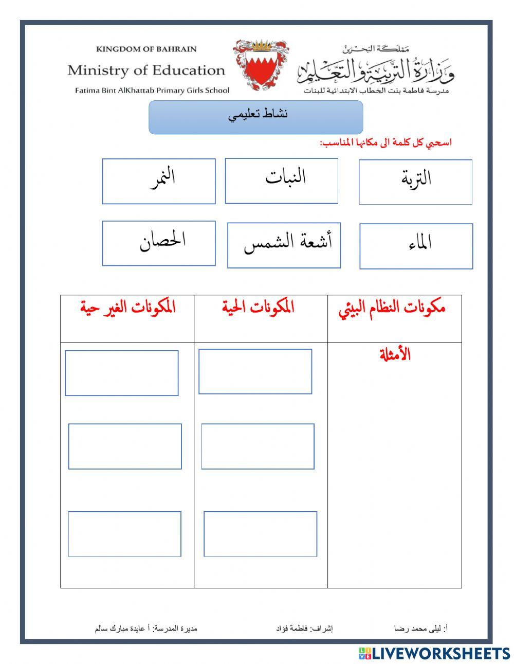 نشاط تعليمي