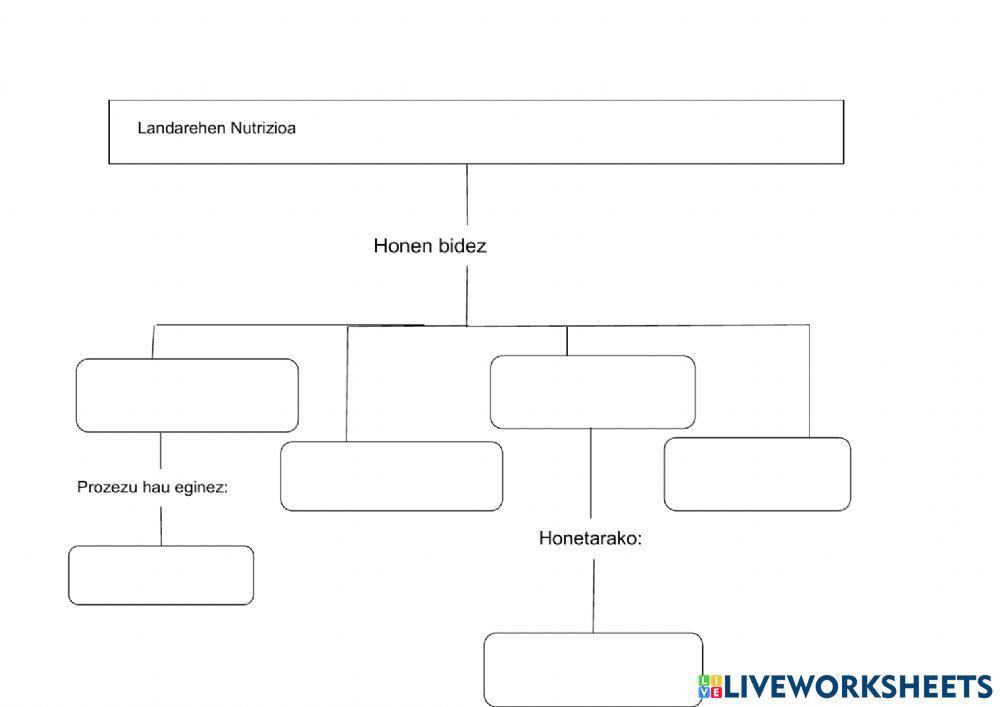 Izaki guztiak bezala,landareak... 2.partea (Landarehen Nutrizioa)