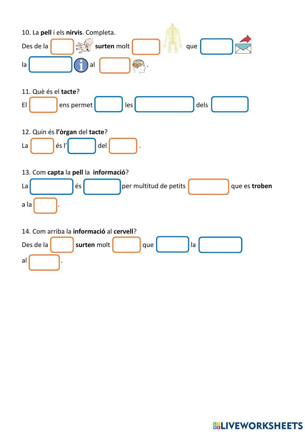 Els sentits. El tacte