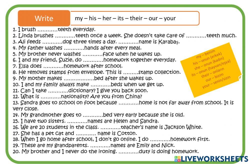 Possessive Adjectives