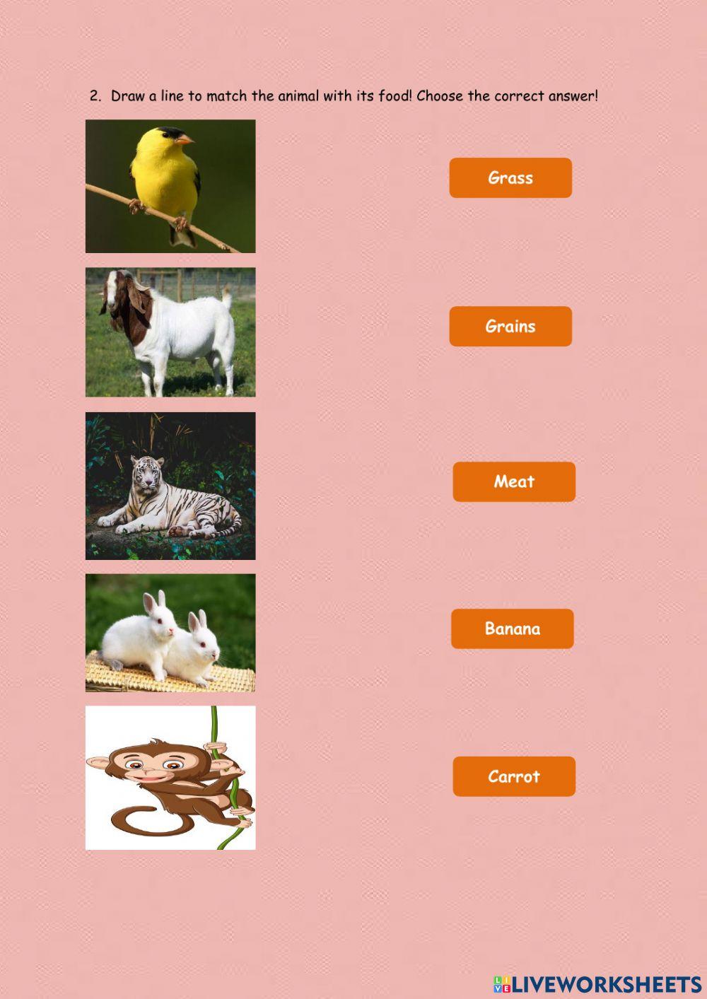 LKPD Bahasa Inggris SD