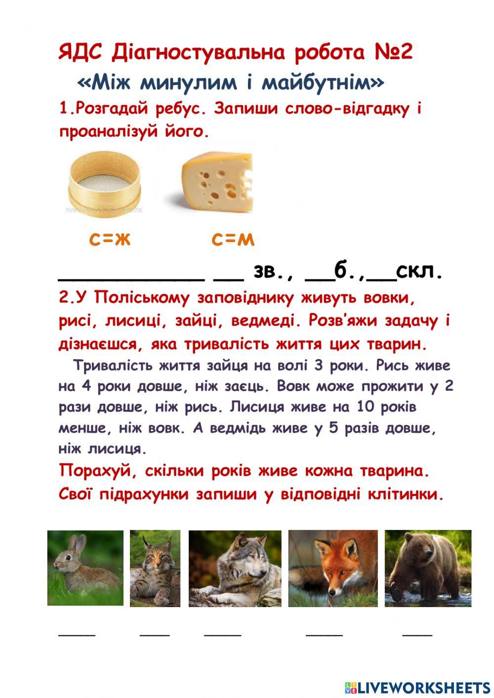 Діагностувальна робота