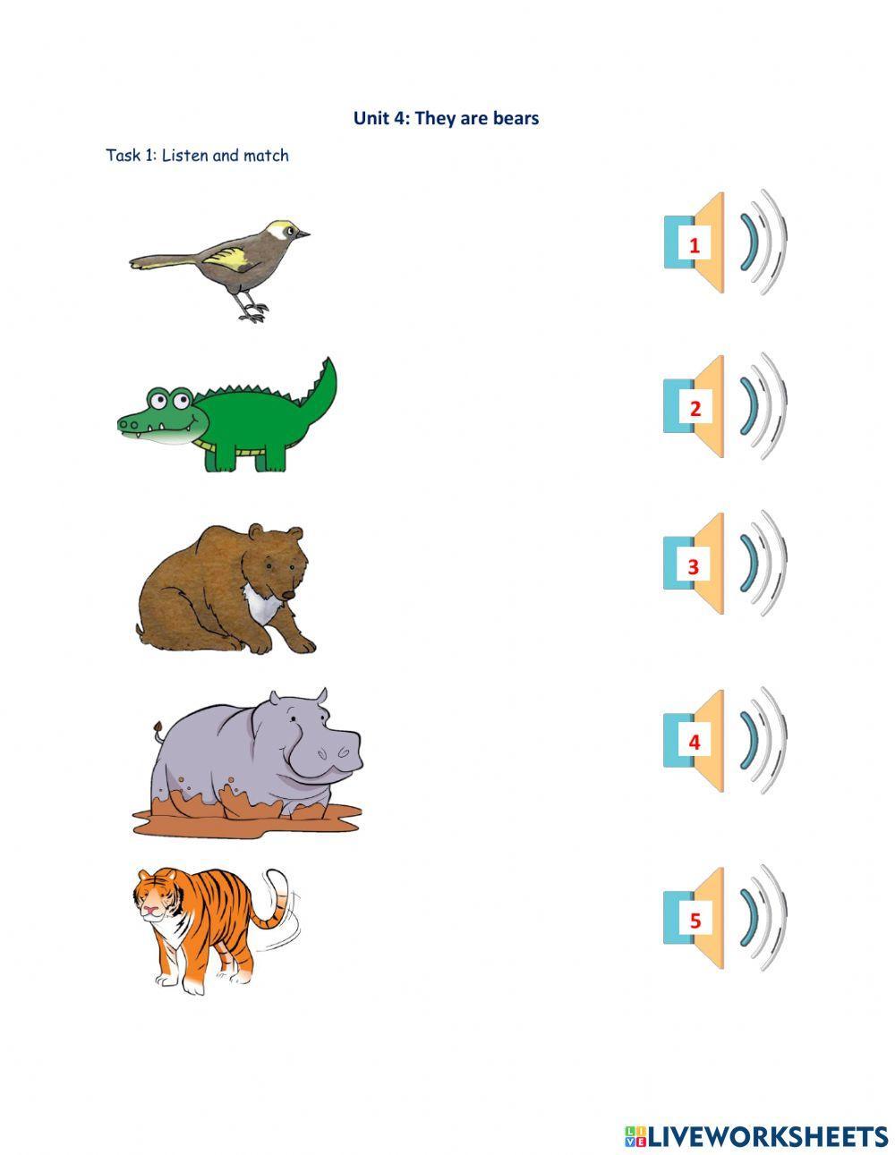 Unit 4: They are bears (P1)