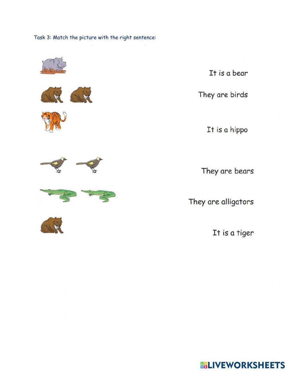 Unit 4: They are bears (P1)