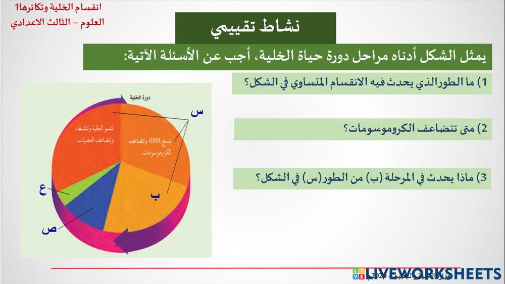 دورة الخلية