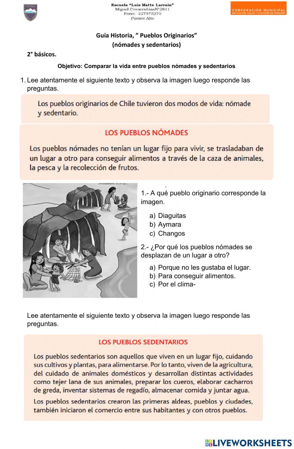 Pueblos originarios zona norte y centro sur
