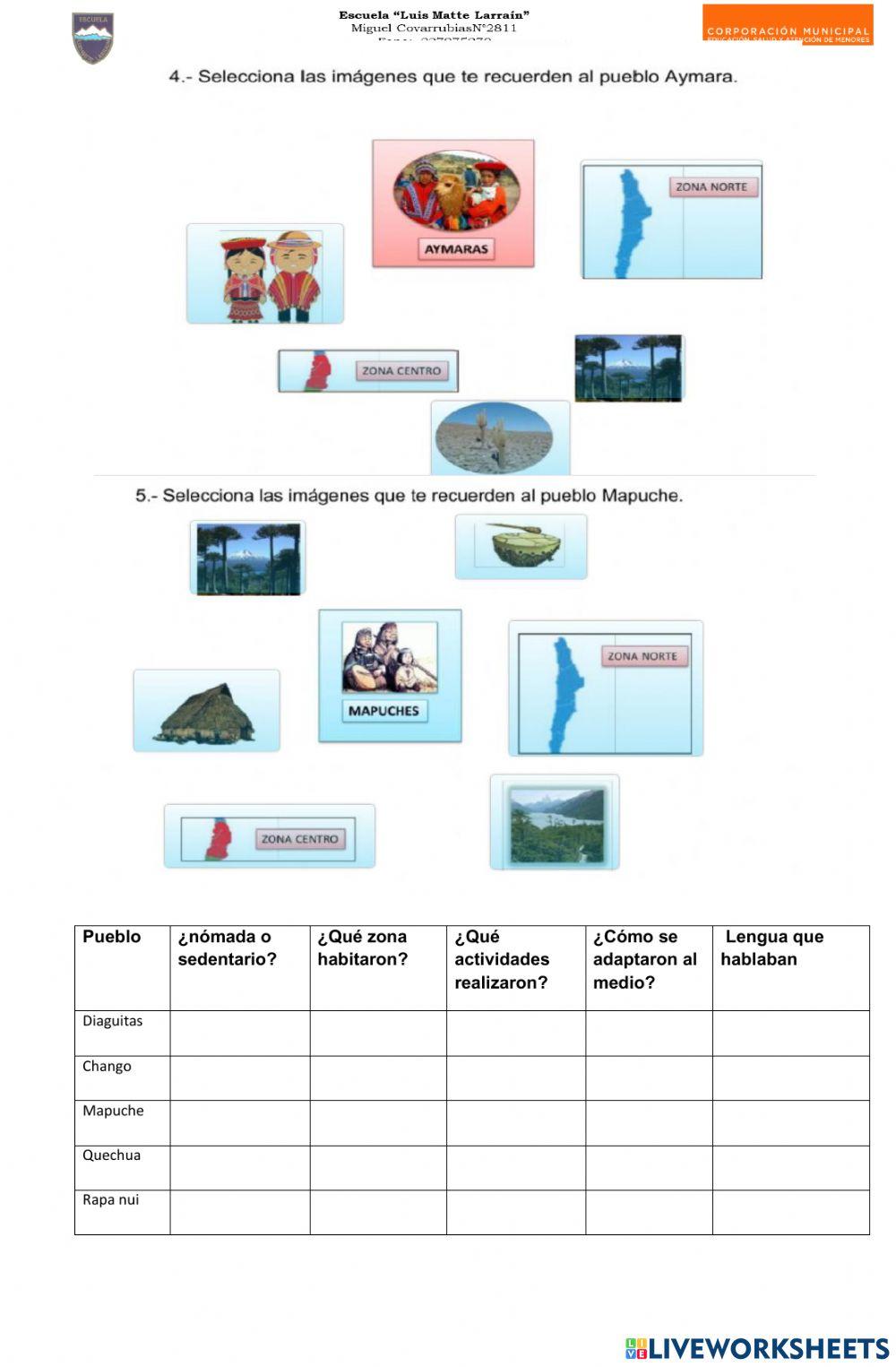 Pueblos originarios zona norte y centro sur