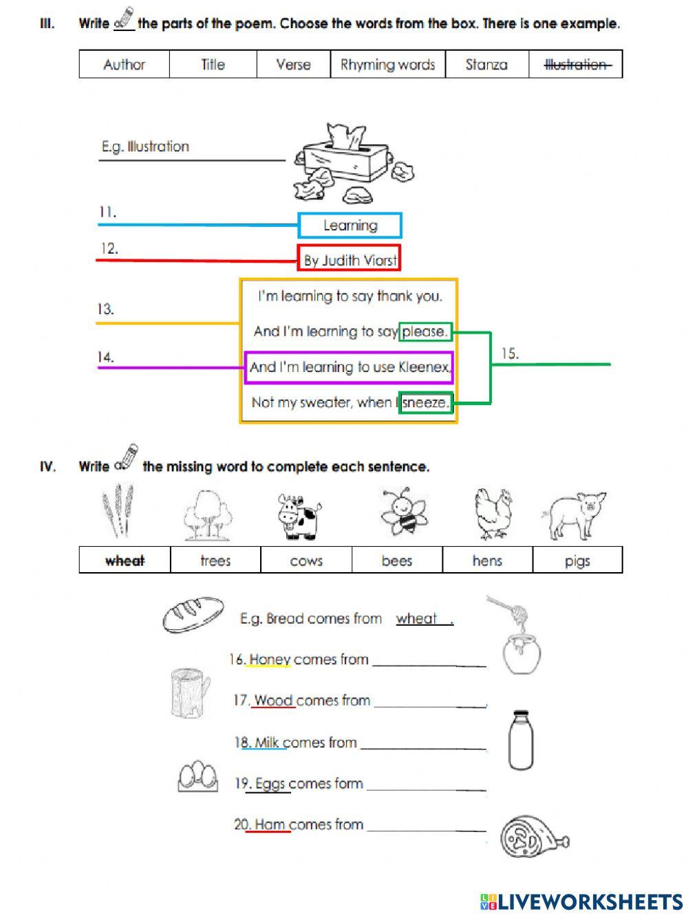 1st period exam grade 3