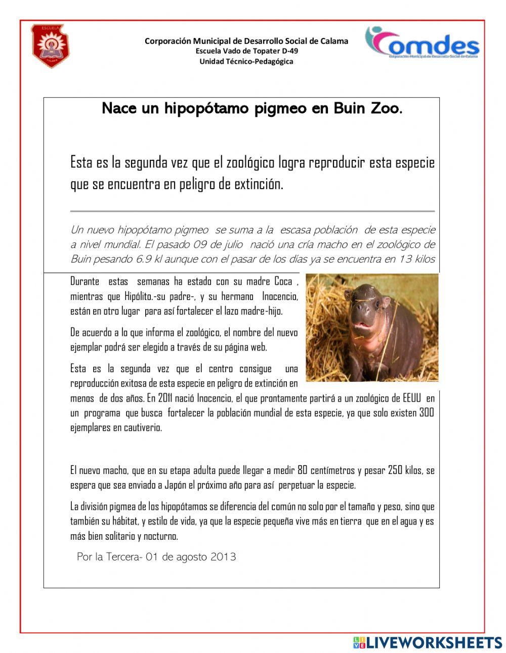 Comprensión lectora