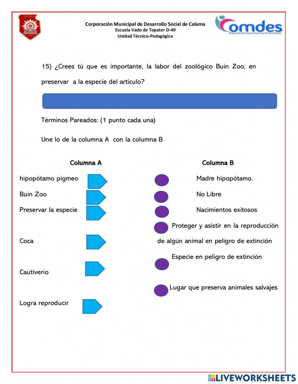 Comprensión lectora