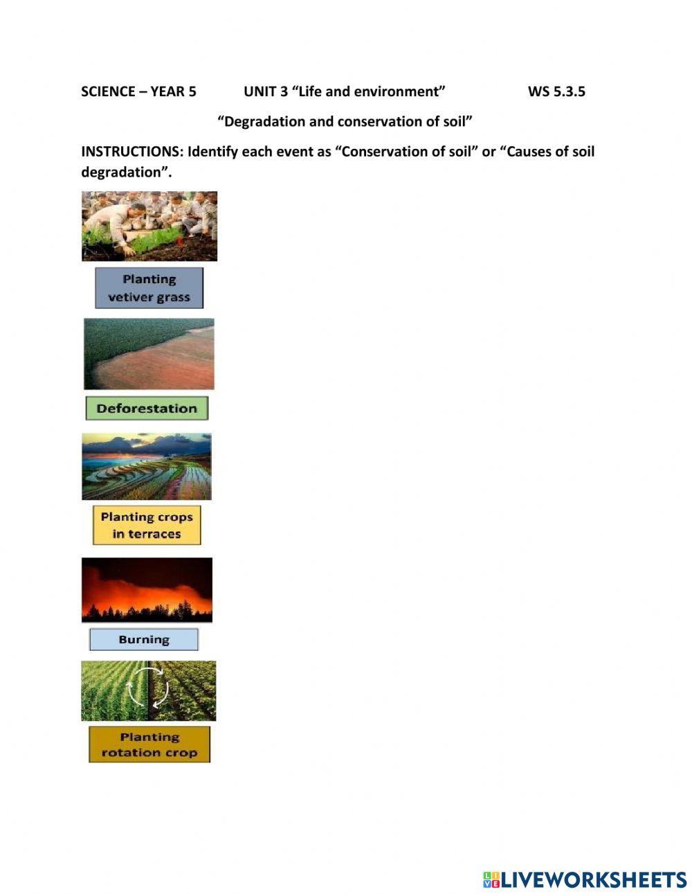 Conservation of the soil