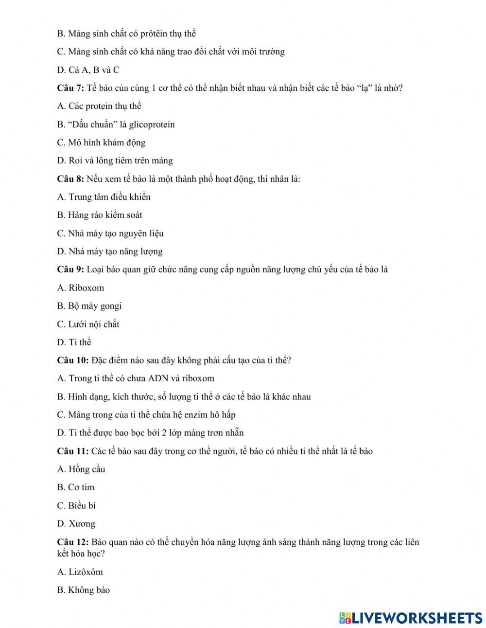 Ôn tâp bài tế bào nhân thực