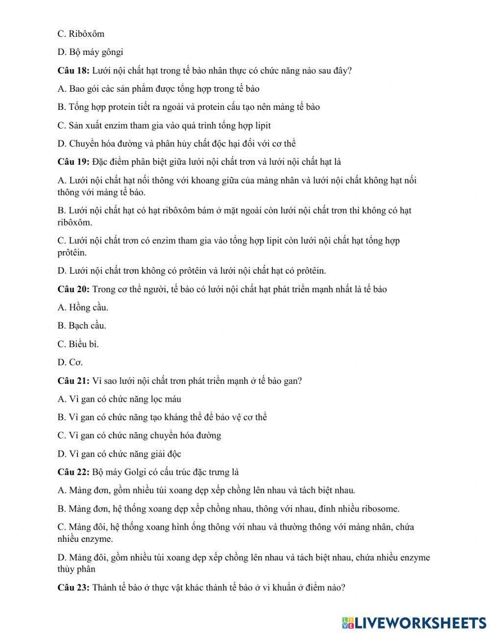 Ôn tâp bài tế bào nhân thực