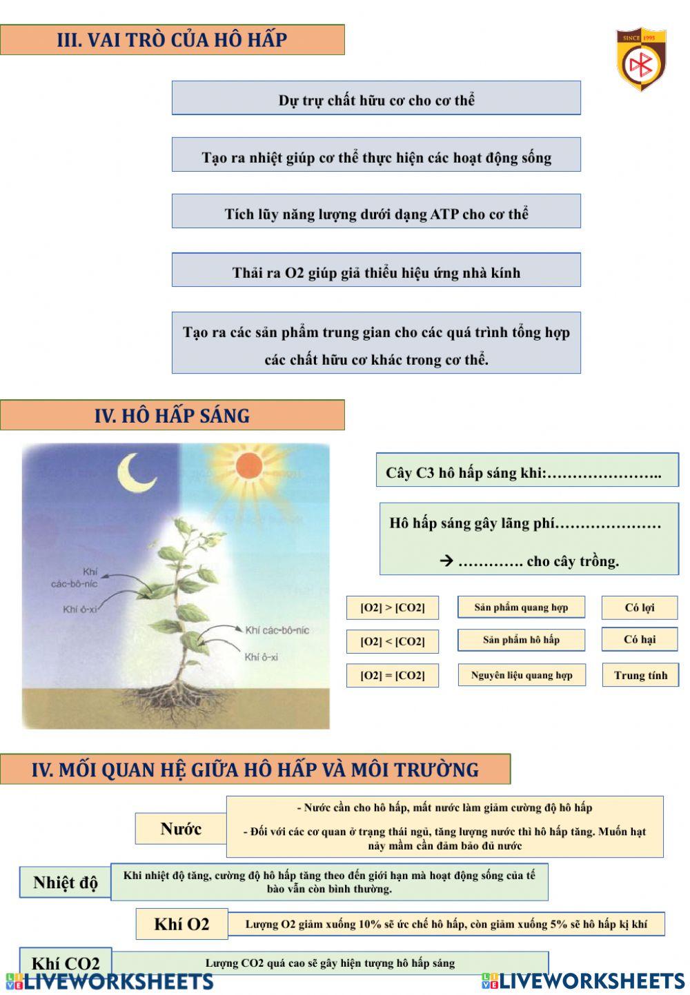 Bài hô hấp ơ thực vật