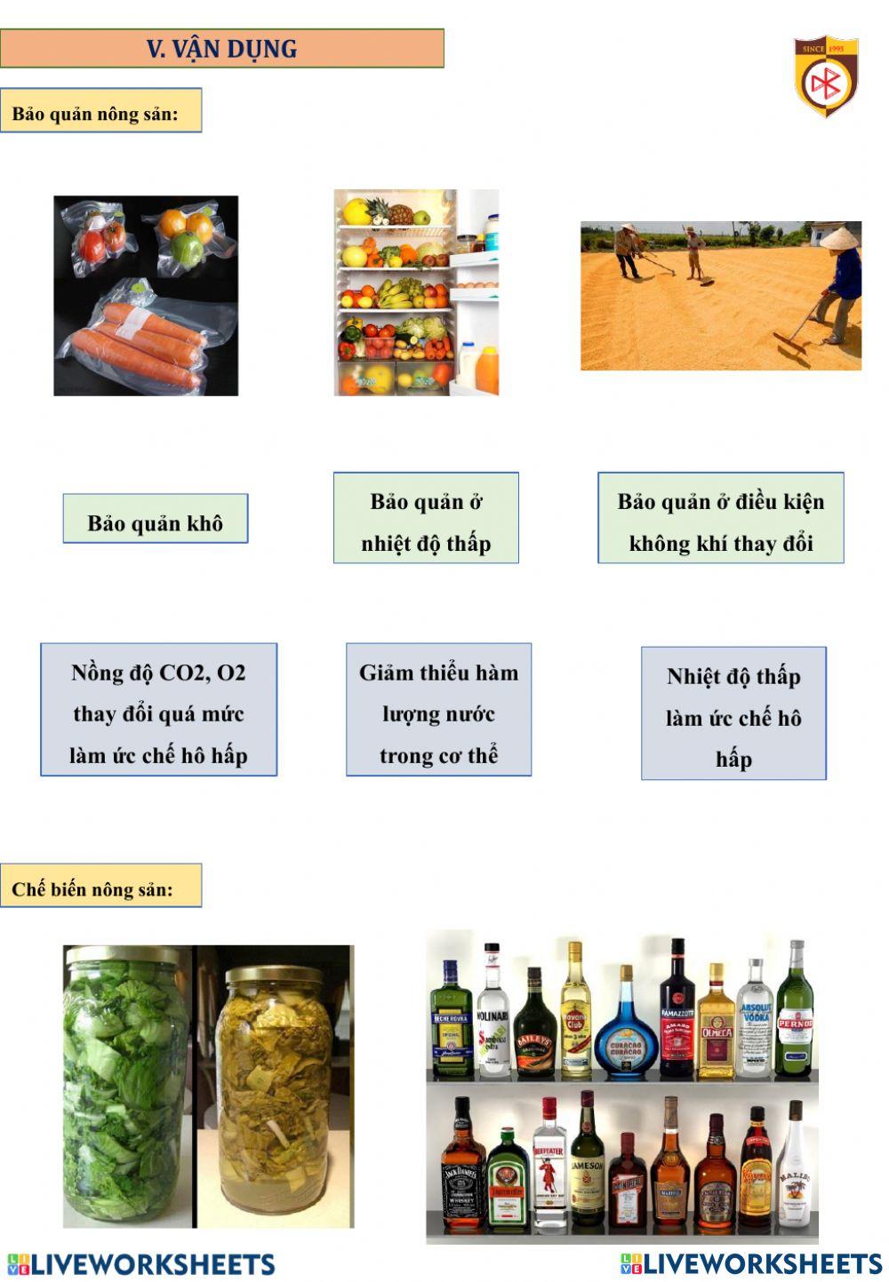 Bài hô hấp ơ thực vật