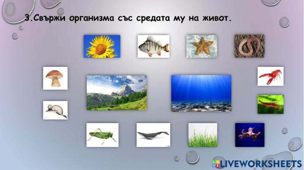 Условия и среда на живот worksheet | Live Worksheets