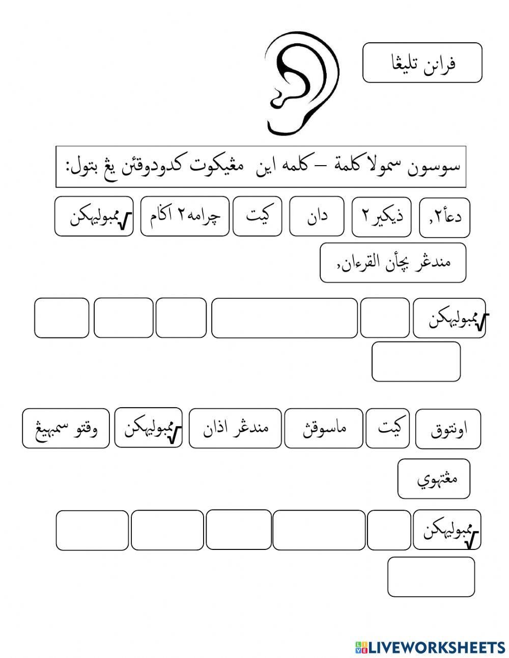 Peranan Telinga dan Beza peranan mata dan telinga