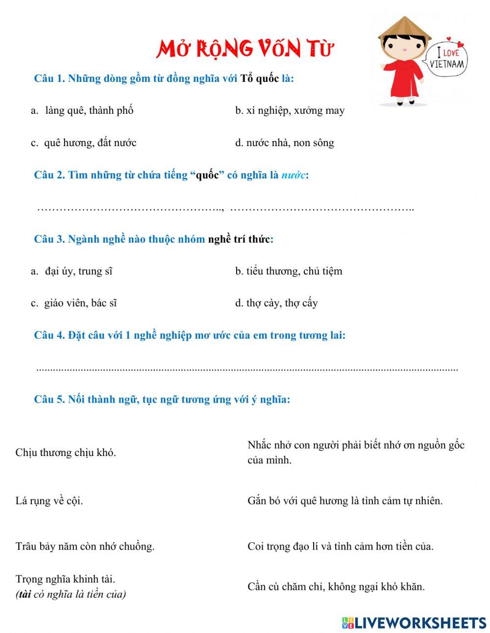 Ôn tập MRVT-Tuần 8