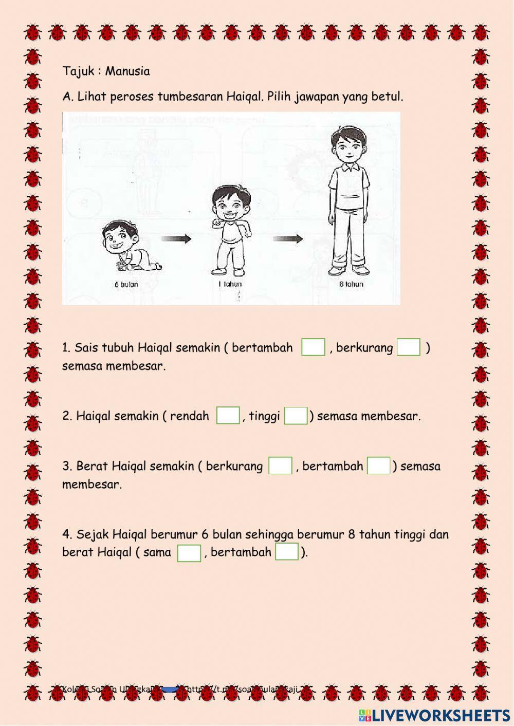Sains Tahun 2 - Manusia Membesar