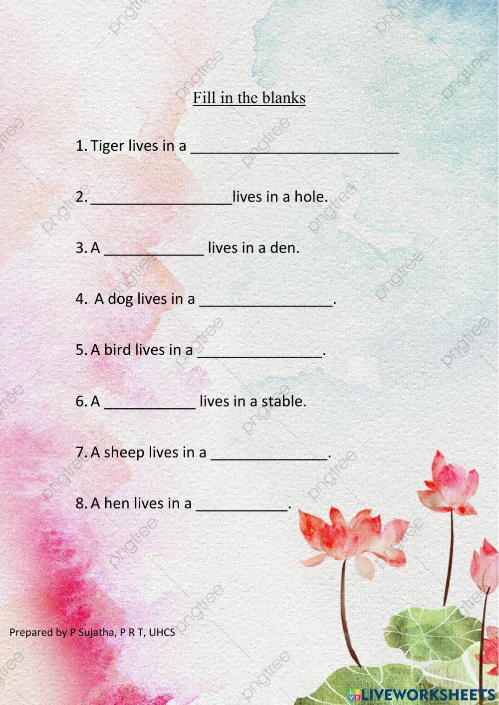 Animals and their homes