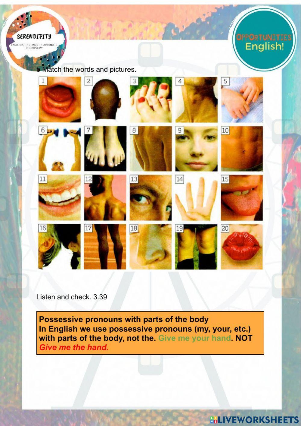 Unit 6B, intermediate (part 1)