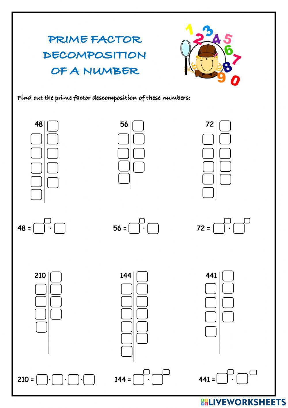 Prime Factor Decomposition