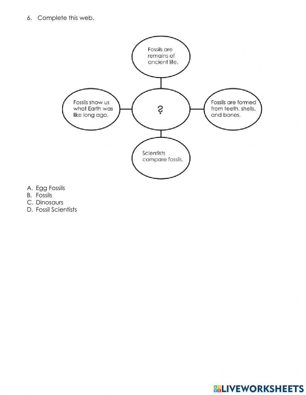 Summarizing Supporting Details