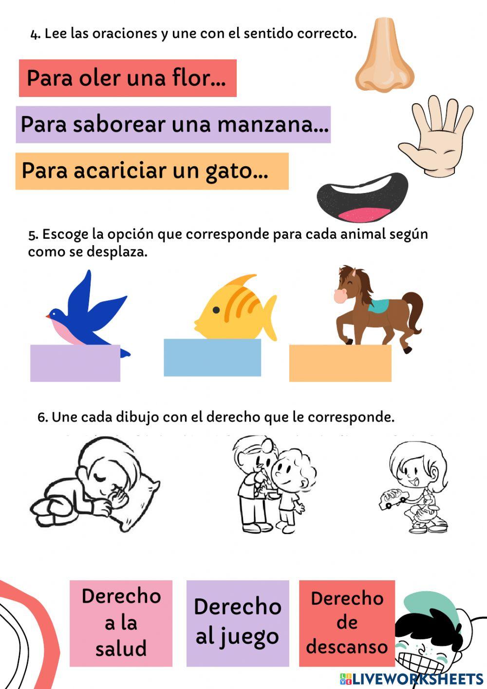 Evaluación Conocimiento del medio Primer trimestre