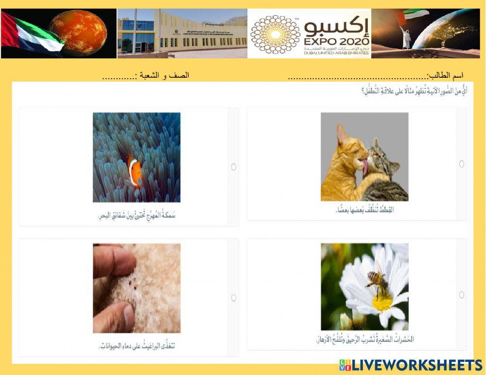 العلاقات التكافلية