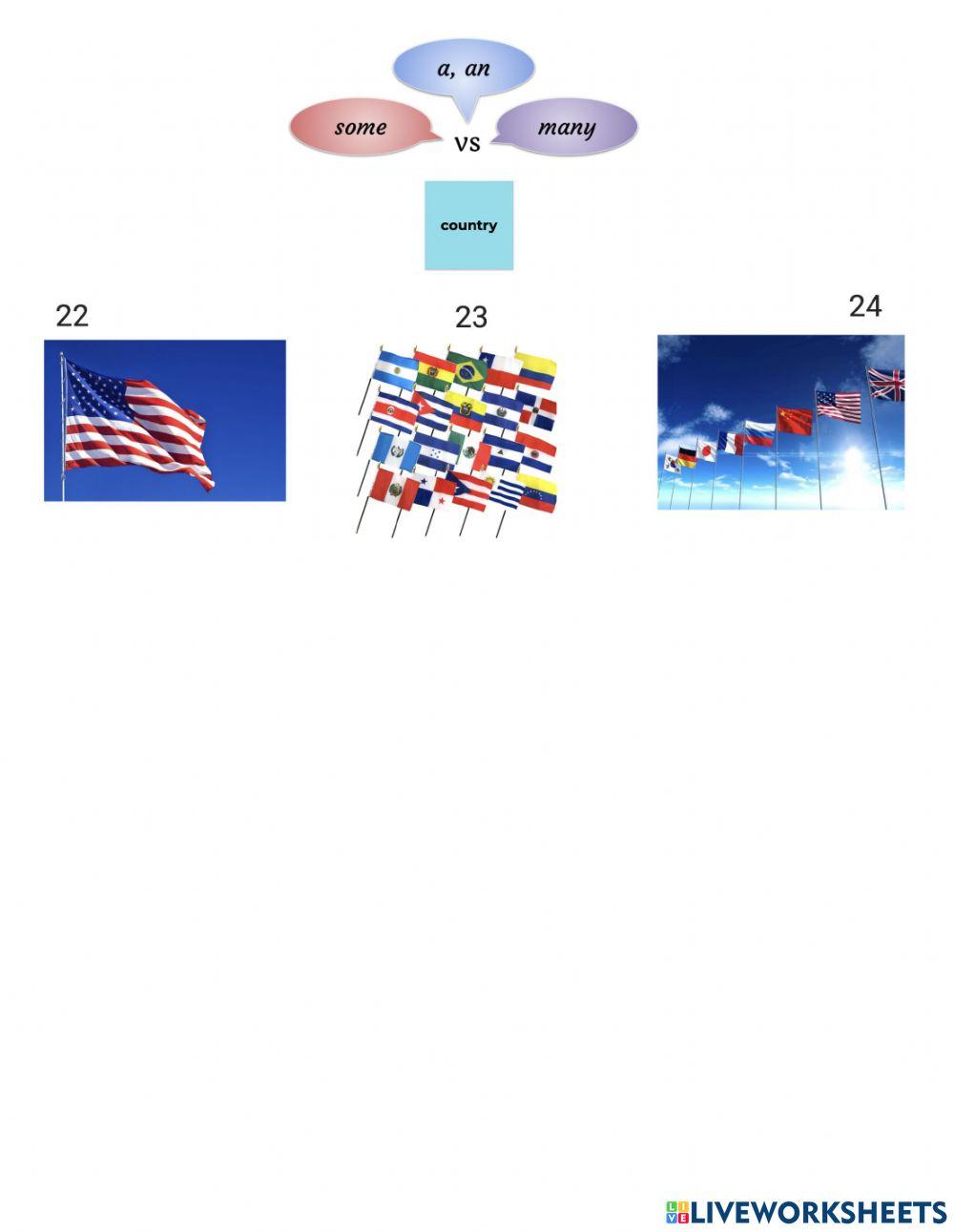 Quantity Expressions Practice 1