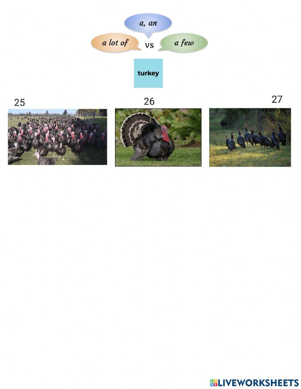 Quantity Expressions Practice 1