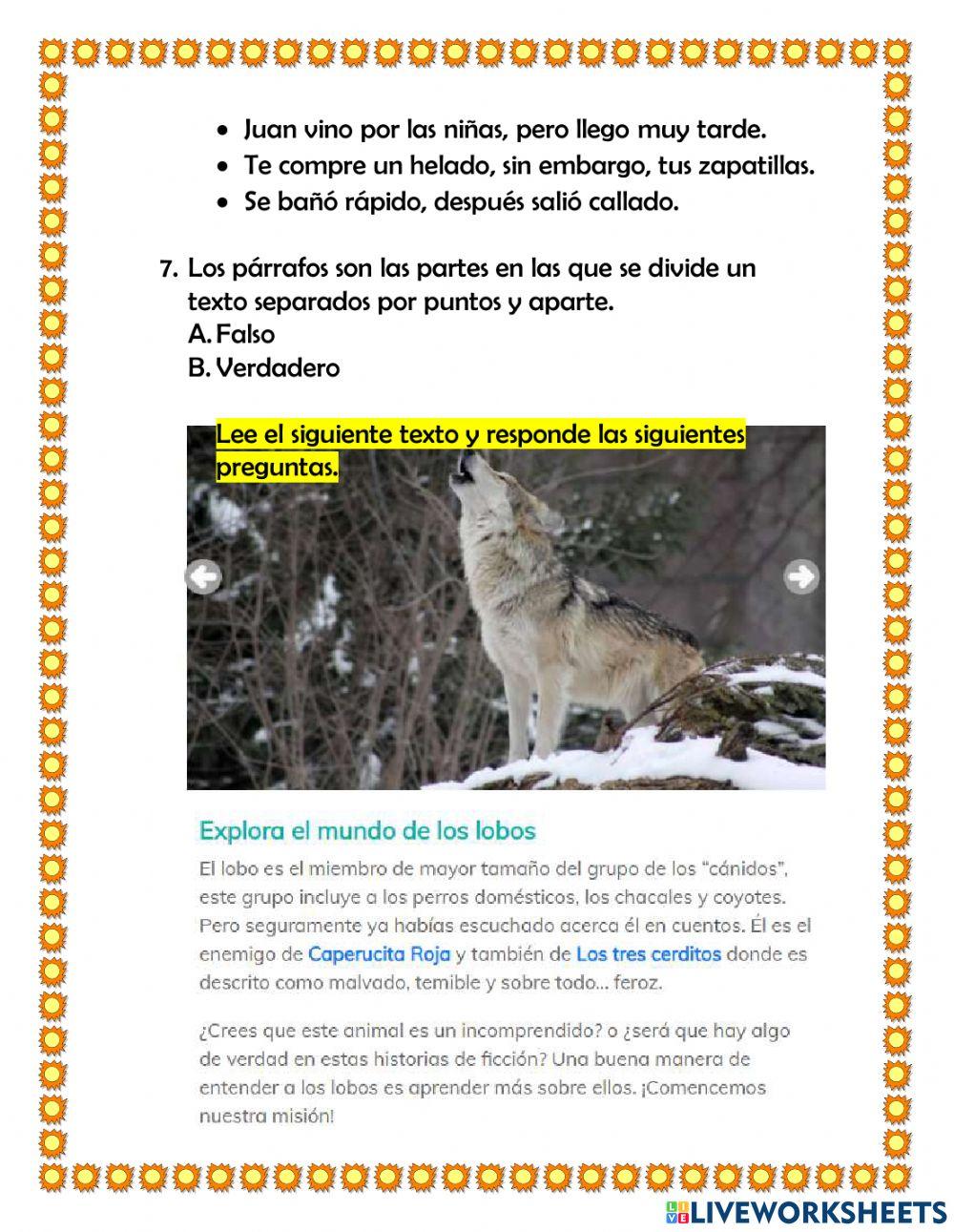 Evaluación de castellano