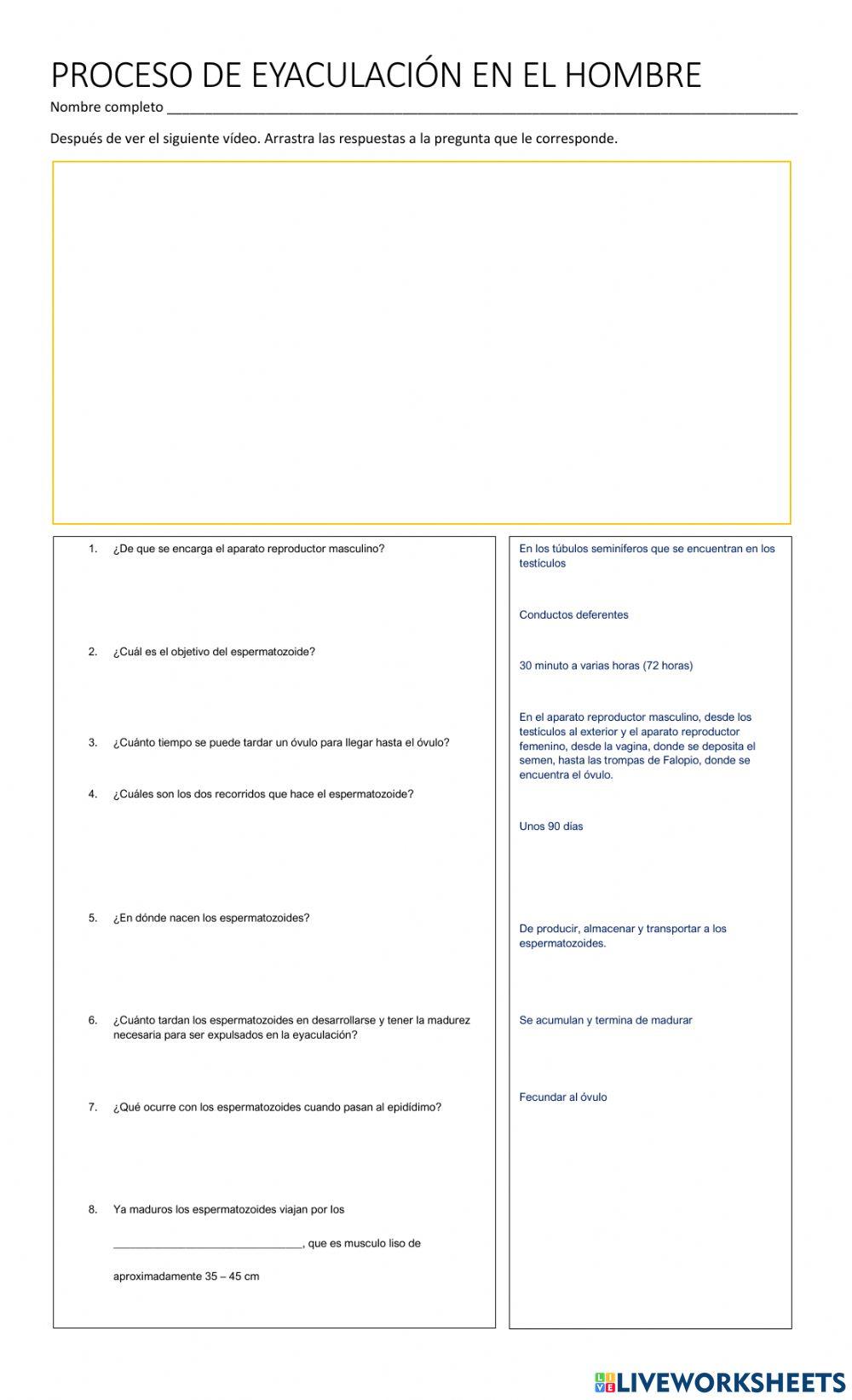 Proceso de Eyaculación