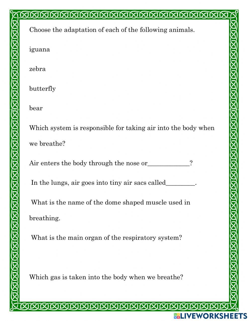 Science Mid Term Quiz
